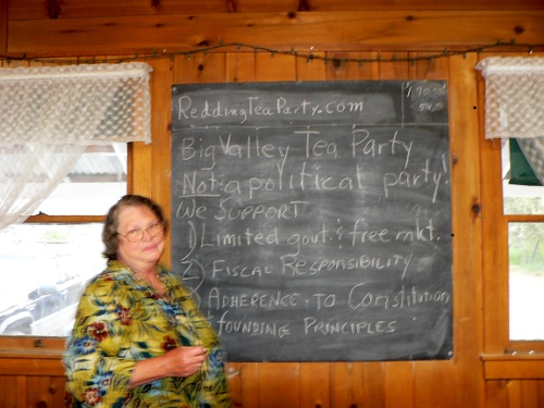 Norah Harper stands in front of a chalkboard with the Tea Party Platform