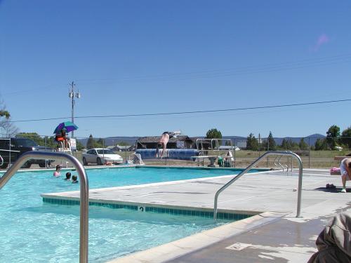 A picture of the pool with kids swimming and a bice dive off the diving board.